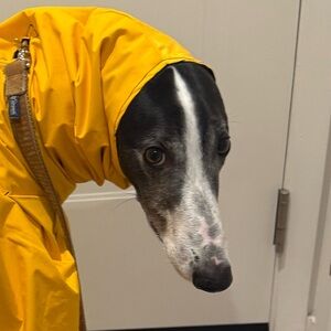 Meet your Posher, Courtney